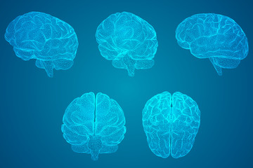 运算定律说课稿