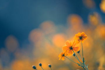 体谅和心疼对方的句子 互相理解互相体谅的句子