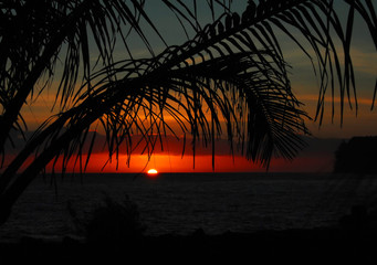 研究淡水底栖动物占比意义