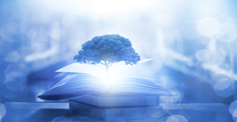 体谅和心疼对方的句子 互相理解互相体谅的句子