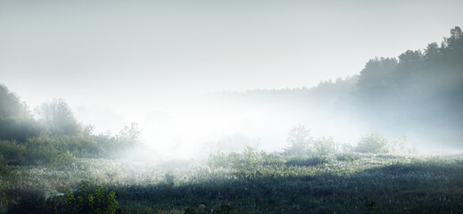 随心随性的精致唯美句子