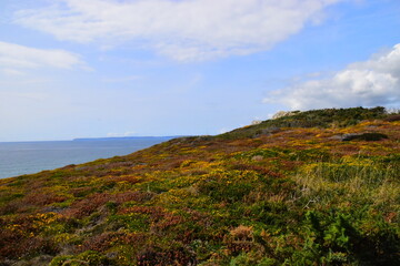 售价16.38万元起 新世代全顺Pro领潮上市