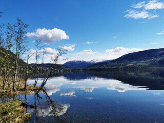 生活中的大数有哪些-