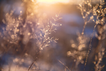 四年级趣味儿数学题或小故事（题带答案）