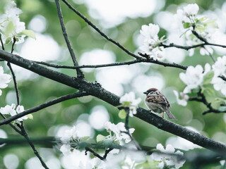 四年级趣味儿数学题或小故事（题带答案）