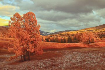 体谅和心疼对方的句子 互相理解互相体谅的句子