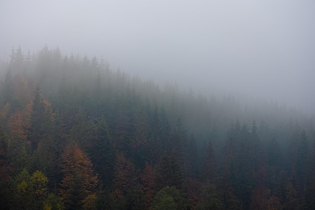 第一个载人航天科学实验空间站叫什么一号