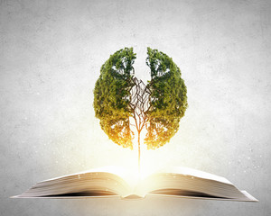 四年级趣味儿数学题或小故事（题带答案）