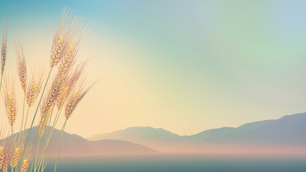 第一个载人航天科学实验空间站叫什么一号