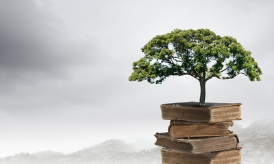 18万落地的B级轿车有哪些可以推荐？