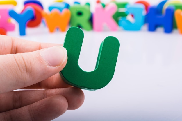 研究淡水底栖动物占比意义